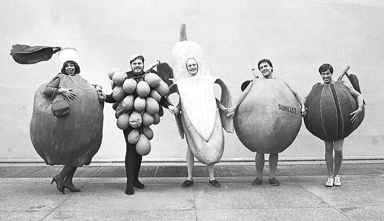 The fruits of Toronto's Fruit Cocktail gay revue