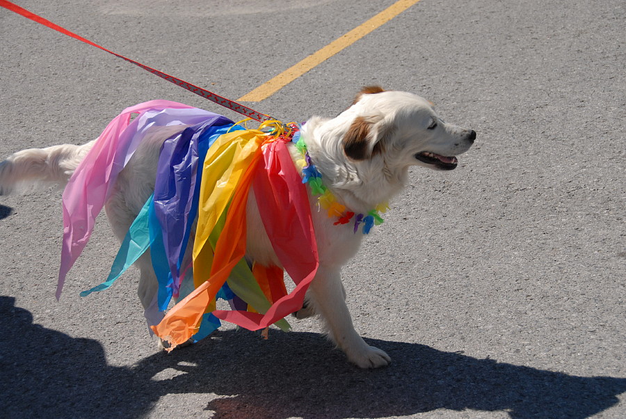 perth pride parade