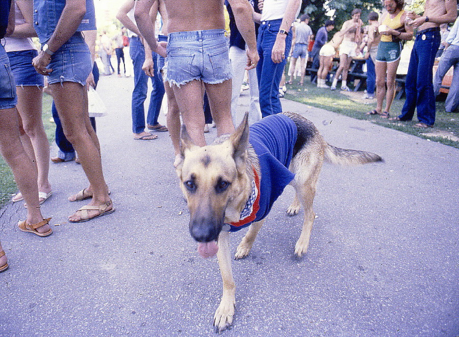 1981 Pride Day Parade, Toronto